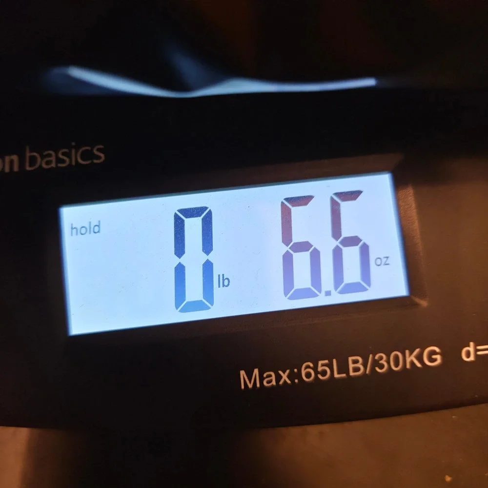 Zubaz Tampa Bay Rays MLB Shirt Mens Medium Navy Blue Zebra Raglan Fox Sports Sun - Picture 7 of 8